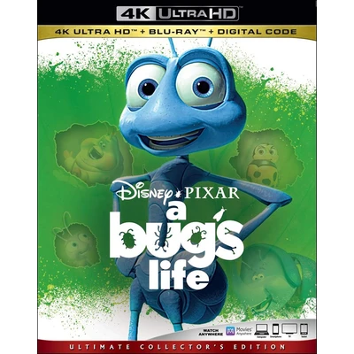 A Bug's Life